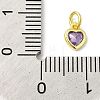 925 Sterling Silver Charms STER-M0120-02G-G-3