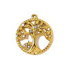 304 Stainless Steel Rhinestone Pendants STAS-OY009-92G-3