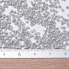 MIYUKI Delica Beads Small SEED-X0054-DBS0252-4