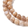 Natural Pink Shell Beads Strands SHEL-D002-A01-6mm-3