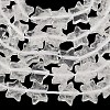 Natural Quartz Crystal Beads Strands G-F817-A16-01-5