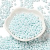 6/0 Glass Seed Beads X1-SEED-M012-01A-13-2