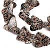 Spray Printed Synthetic Turquoise Beads Strands TURQ-P002-04A-02-4