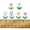 Transparent Glass Beads GLAA-FS0001-79-5