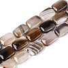 Natural Agate Beads Strands G-N356-03A-03-2