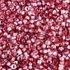 Picasso Glass Seed Beads SEED-Q041-02K-3