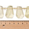 Natural Lemon Jade Beads Strands G-H078-A05-01-4