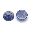 Natural Sodalite Cabochons G-P393-P05-14.5mm-2