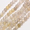 Natural Botswana Agate Beads Strands X-G-A129-3mm-18-1