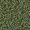 TOHO Round Seed Beads X-SEED-TR11-1007-2