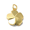 Rack Plating Brass Enamel Charms KK-O142-56G-01-2