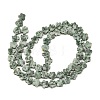 Natural Green Spot Jasper Beads Strands G-B138-C24-01-3