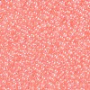 11/0 FGB Grade A Transparent Glass Seed Beads X-SEED-N001-F-233-2