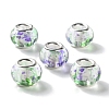 Transparent Two-Color Brass Cores Acrylic European Beads OACR-M024-05S-03-1