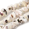 Natural Trochid Shell/Trochus Shell Beads Strands SHEL-B003-02J-1