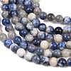 Natural Sodalite Beads Strands G-S279-10-8mm-7