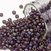 TOHO Round Seed Beads X-SEED-TR08-0166BF-1