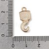 Alloy with Enamel Pendants AL-CBA9E11-03KCG-14-3