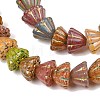 Painted Glass Beads GL-CBA4370-05-3