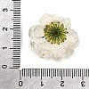 Transparent Resin Cabochons RE-CBA7537-01A-3