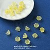 Glass Beads GLAA-YW0003-37I-2