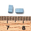 2-Hole Baking Paint Glass Seed Beads SEED-S023-17B-46-3