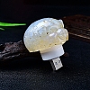 Resin Pig Shape USB Night Light PW-WG82AA3-04-1