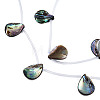 Natural Abalone Shell/Paua Shell Beads Strands SSHEL-N034-160B-01-3