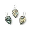 Natural Paua Shell/Abalone Shell Carved Pendants PALLOY-JF05615-02-1