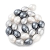 Electroplated Shell Pearl Beads Strands BSHE-H110-01-04-3