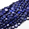 Natural Lapis Lazuli Gemstone Nuggets Bead Strands X-G-J336-31-1
