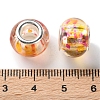 Transparent Two-Color Brass Cores Acrylic European Beads OACR-M024-05S-05-3