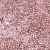 Glass Seed Beads X1-SEED-S042-04A-04-3
