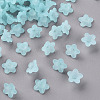 Transparent Acrylic Beads PL554-11-1