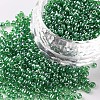 Glass Seed Beads SEED-A006-2mm-107B-1