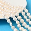 Natural Cultured Freshwater Pearl Beads Strands PEAR-P064-19L-05B-1