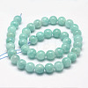 Natural Amazonite Bead Strands G-P204-02-10mm-3