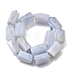 Natural Blue Lace Agate Beads Strands GG-CBA8682-A03-3