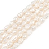 Natural Cultured Freshwater Pearl Beads Strands PEAR-P064-20H-02A-2