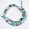 Natural Chrysoprase Beads Strands G-S333-4mm-037-2