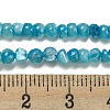 Natural White Shell Dyed Beads Strands BSHE-Z005-03B-4