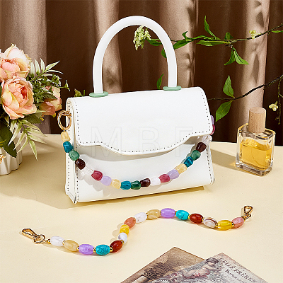 2Pcs 2 Styles Acrylic Oval & Barrel Bead Purse Chains HJEW-PH02438-1