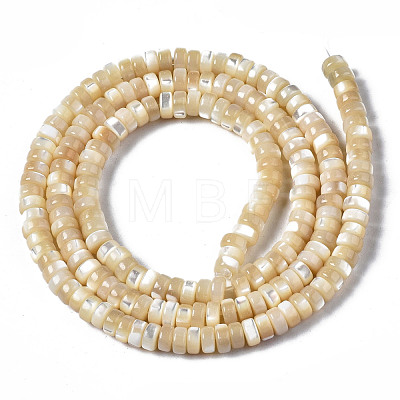 Natural Trochid Shell/Trochus Shell Beads Strands SSHEL-S266-019B-01-1