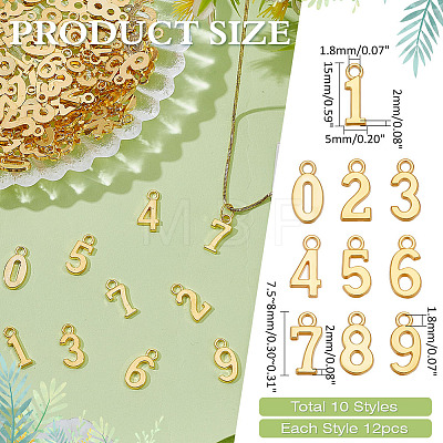 12 Sets Alloy Pendants TIBEP-ME0001-12G-1