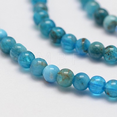 Natural Apatite Beads Strands X-G-D856-01-4mm-1