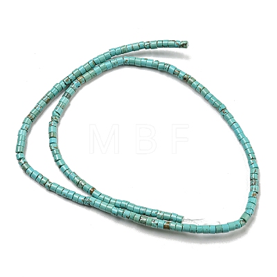 Natural Turquoise Beads Strands G-C084-D10-02-1