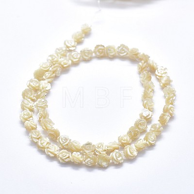 Shell Bead Strands SSHEL-P015-01B-6mm-1