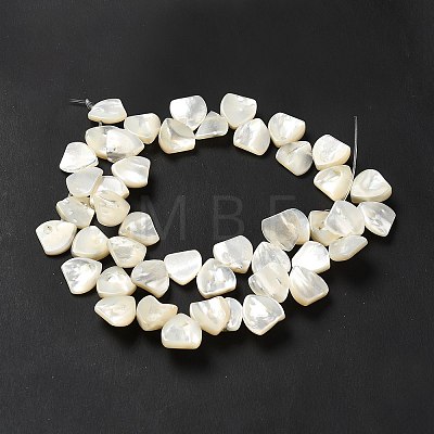 Natural White Shell Beads Strands SHEL-G014-15-1