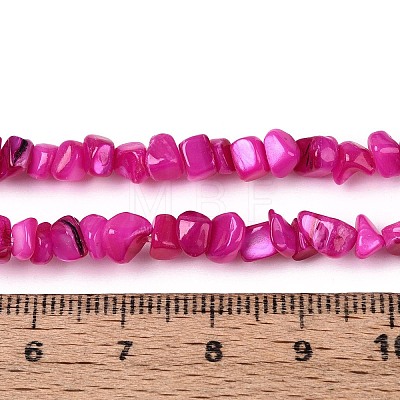 Natural Freshwater Shell Beads Strands SHEL-N037-04E-1