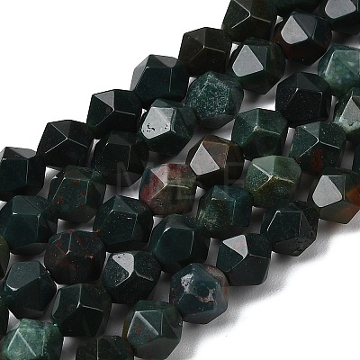 Natural Bloodstone/Heliotrope Beads Strands G-Z119-A16-01-1